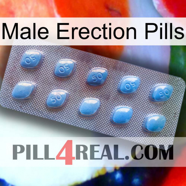 Male Erection Pills viagra3.jpg